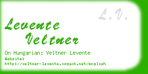 levente veltner business card